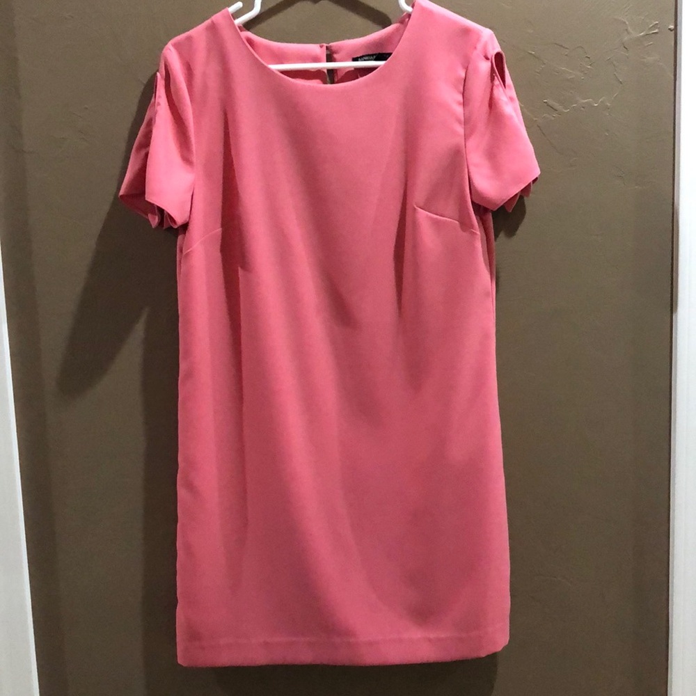 Banana Republic pink shift dress size small